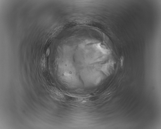 X0000076331251200610201656