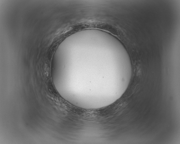 X0000076331253200610201655