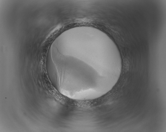 X0000076331254200610201655