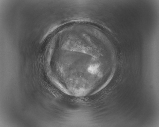 X0000076331255200610201655