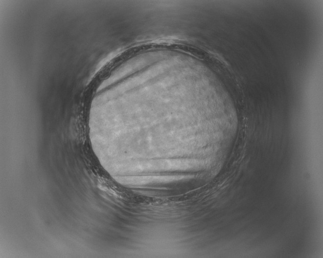 X0000076331256200610201655