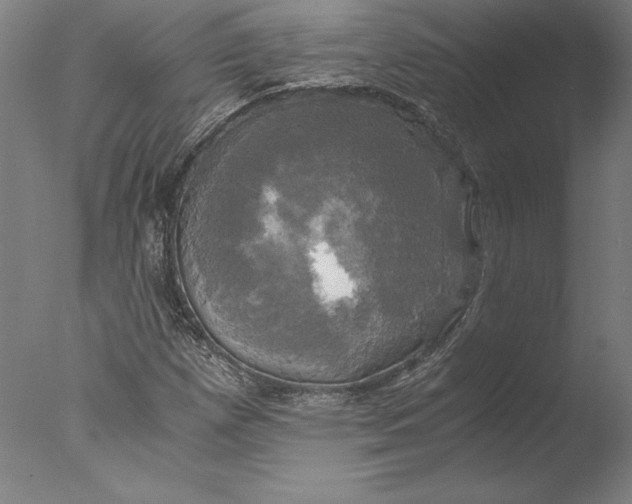 X0000076331257200610201655