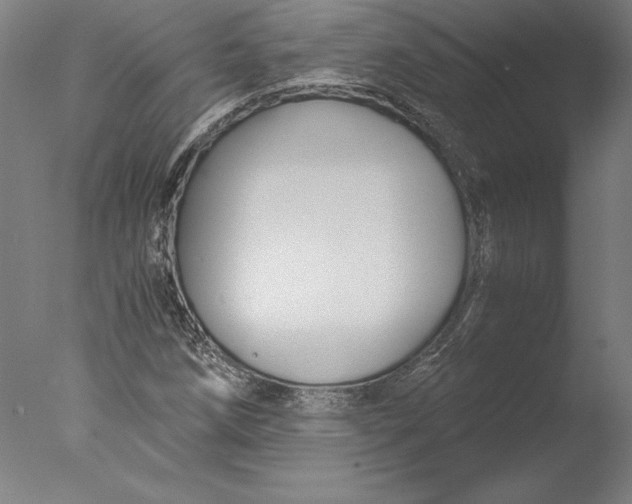 X0000076331258200610201655