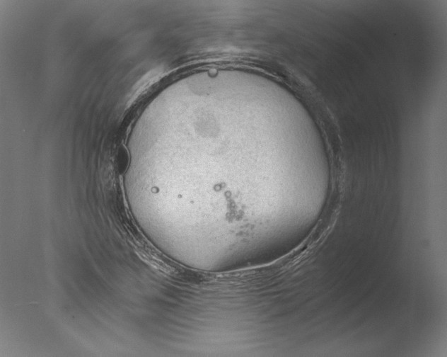 X0000076331259200610201655