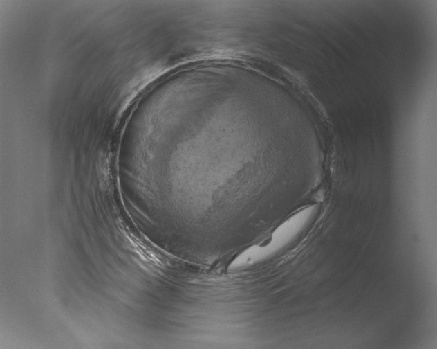 X0000076331260200610201655