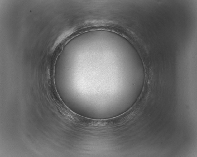 X0000076331261200610201655