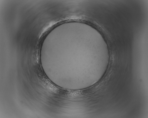 X0000076331262200610201655