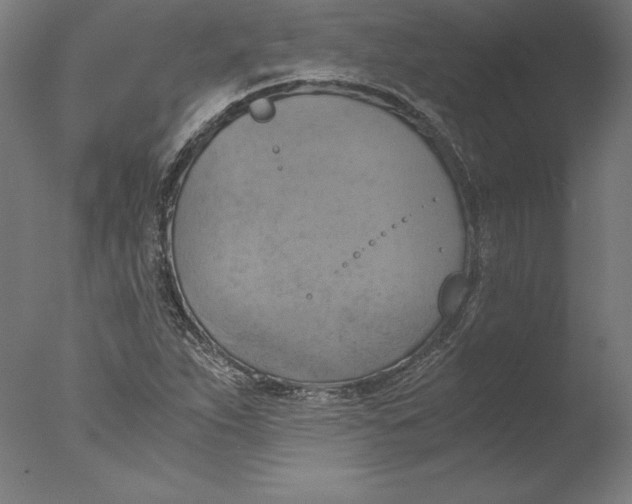 X0000076331263200610201655