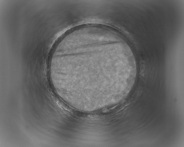 X0000076331264200610201655