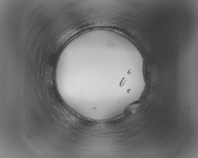 X0000076331265200610201655