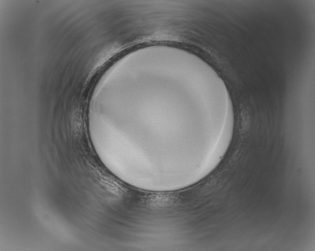 X0000076331266200610201655