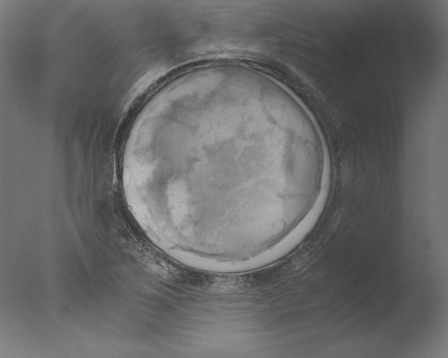 X0000076331267200610201655