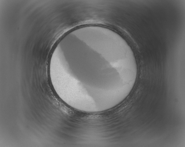 X0000076331268200610201655