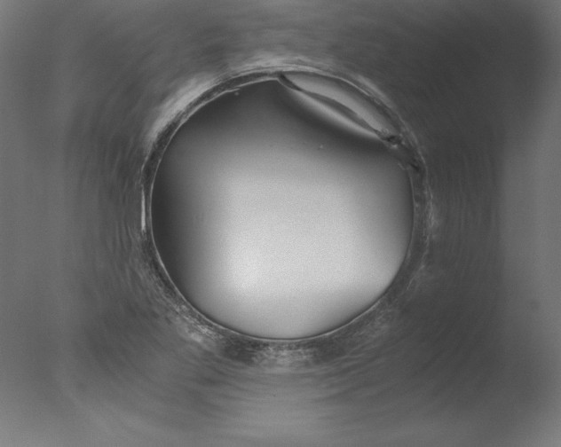 X0000076331269200610201655