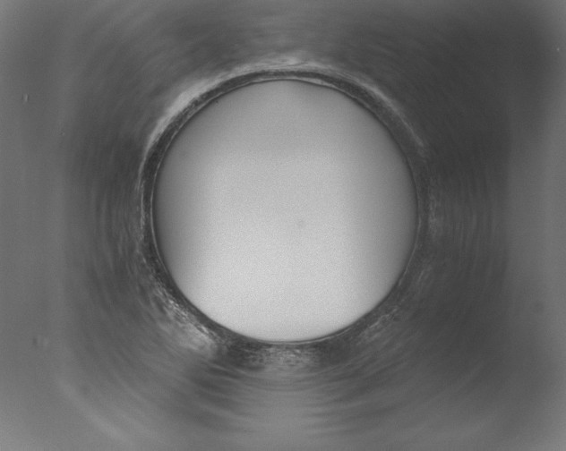 X0000076331270200610201655