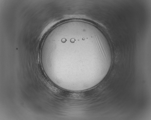 X0000076331271200610201655