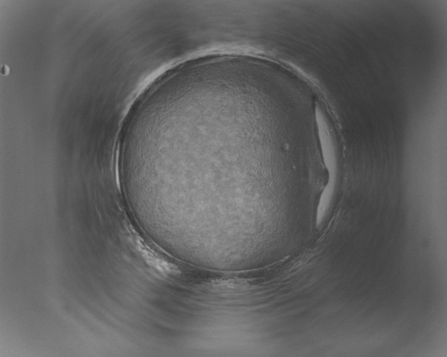 X0000076331272200610201655