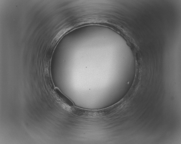 X0000076331273200610201655