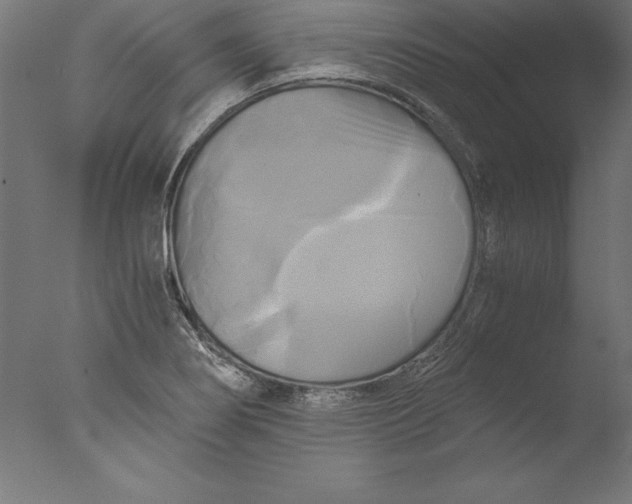 X0000076331274200610201655