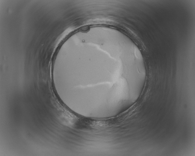 X0000076331275200610201655