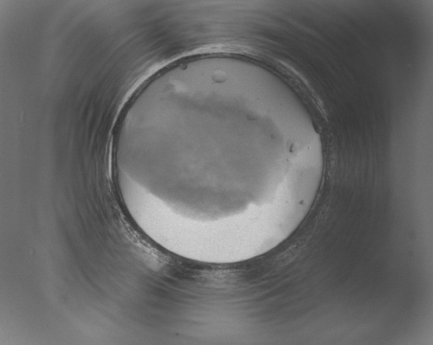 X0000076331276200610201655