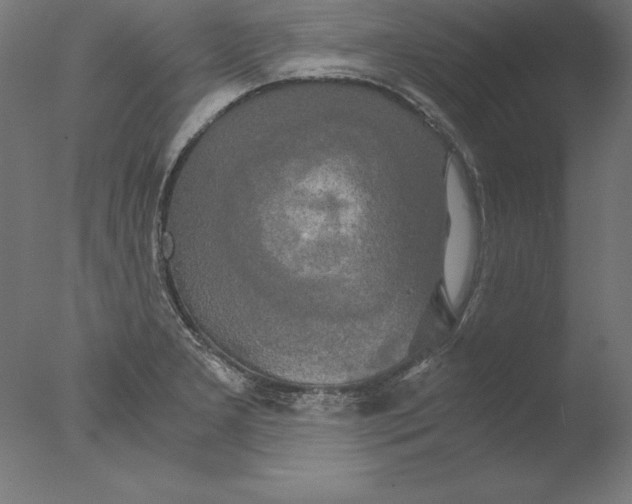 X0000076331277200610201655