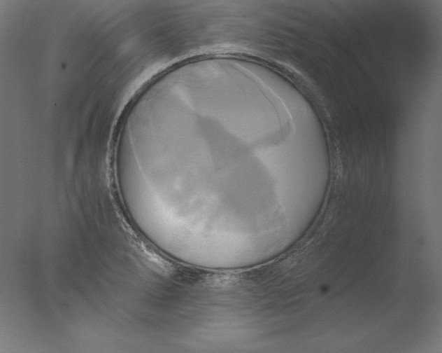 X0000076331278200610201655