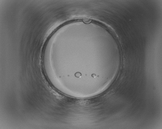 X0000076331279200610201655