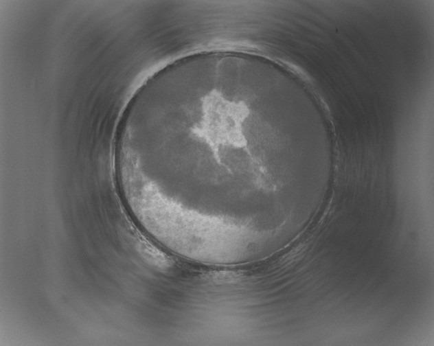 X0000076331280200610201655