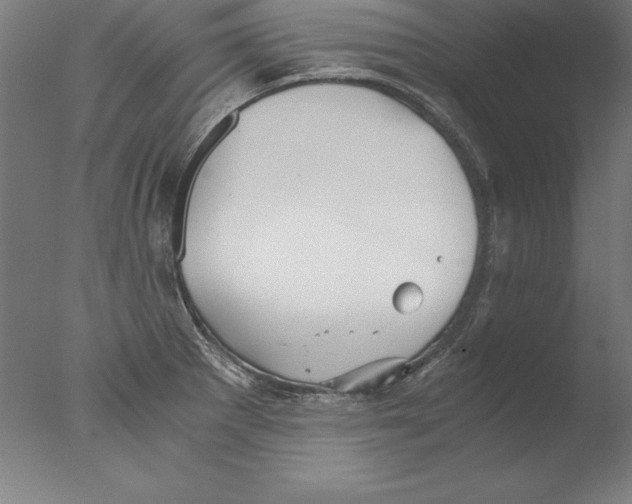 X0000076331281200610201655