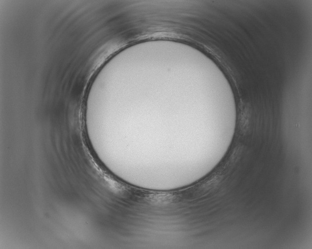 X0000076331282200610201655