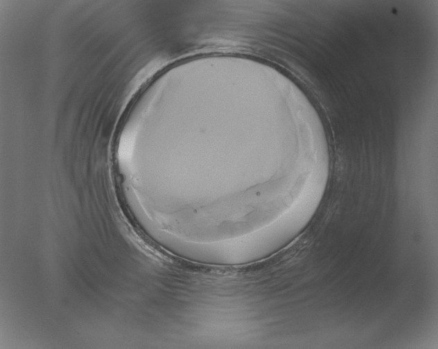 X0000076331283200610201655