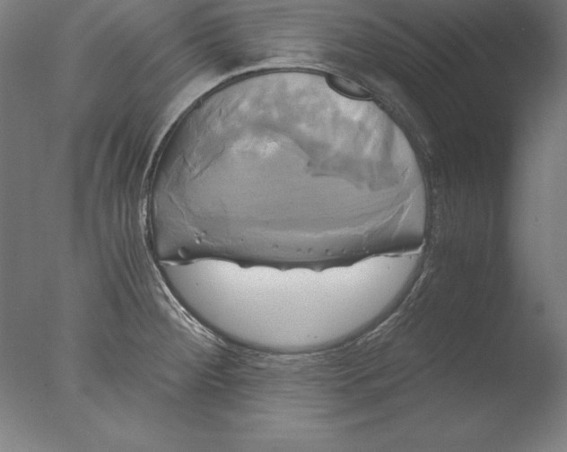 X0000076331284200610201655