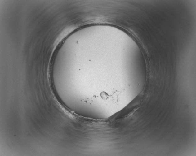 X0000076331285200610201655