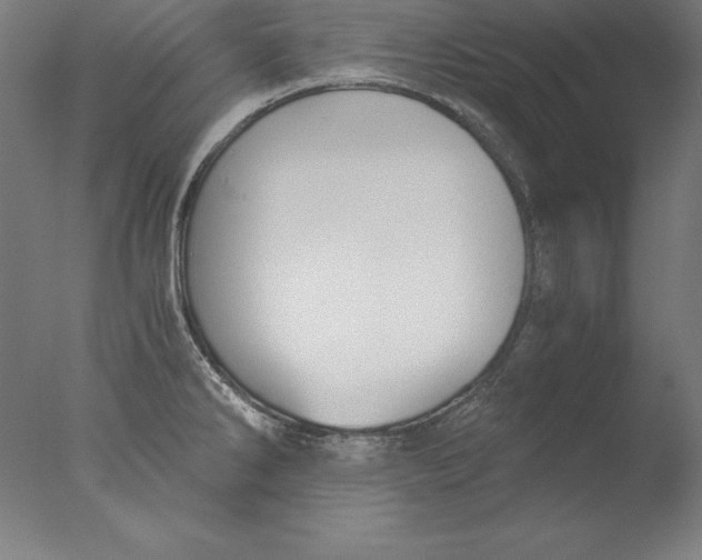 X0000076331286200610201655