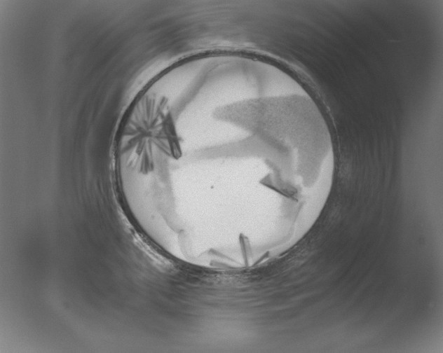 X0000076331287200610201655