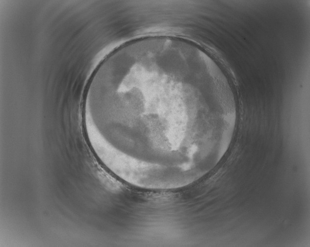 X0000076331288200610201655