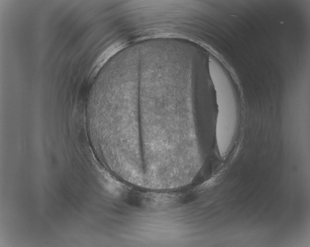 X0000076331289200610201655