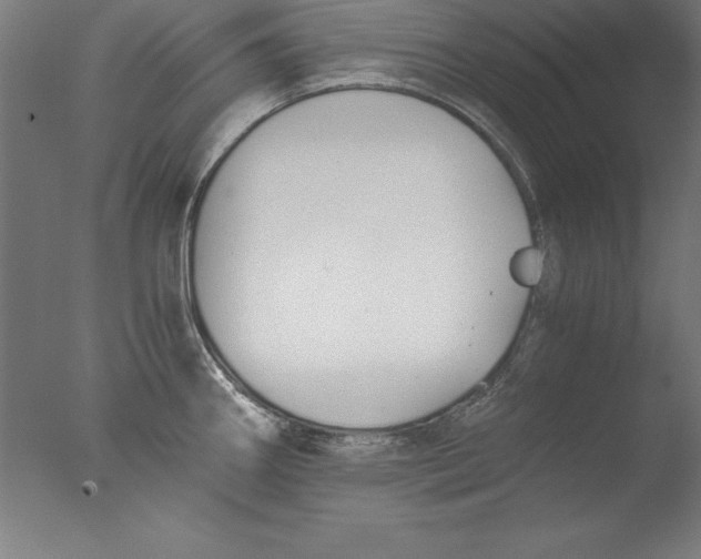 X0000076331290200610201655