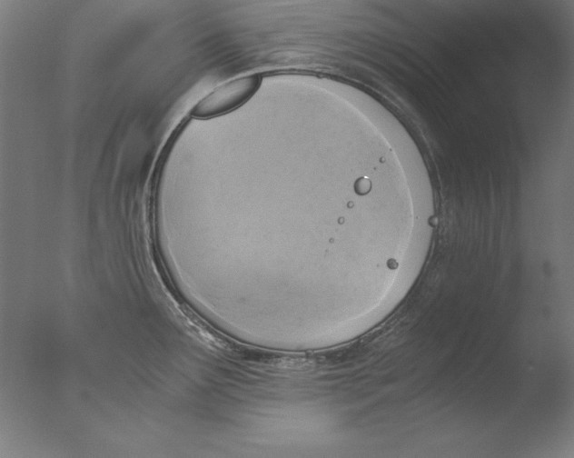 X0000076331291200610201655