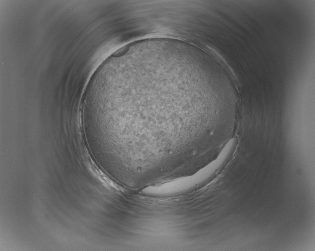 X0000076331292200610201655