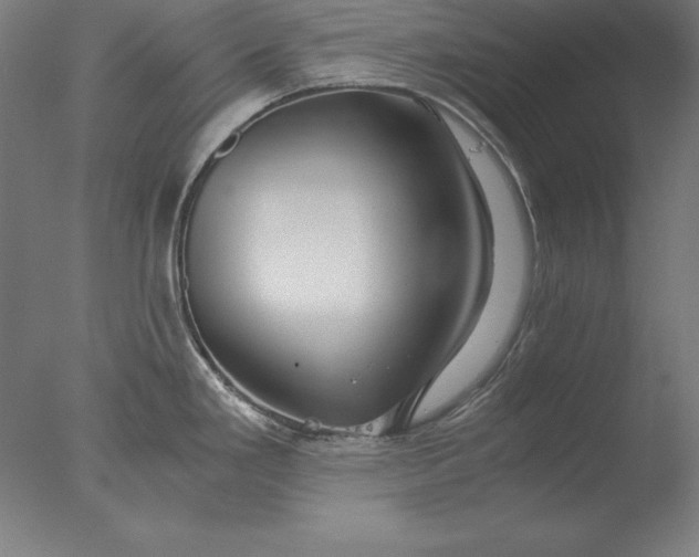 X0000076331293200610201655