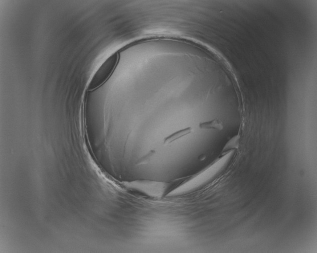 X0000076331295200610201655