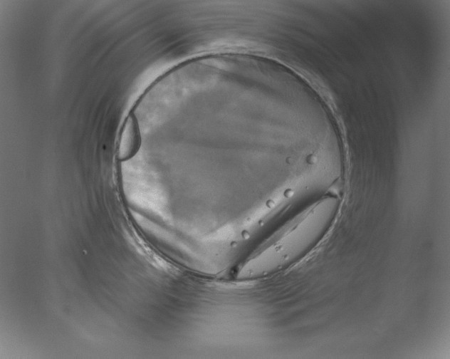 X0000076331296200610201655