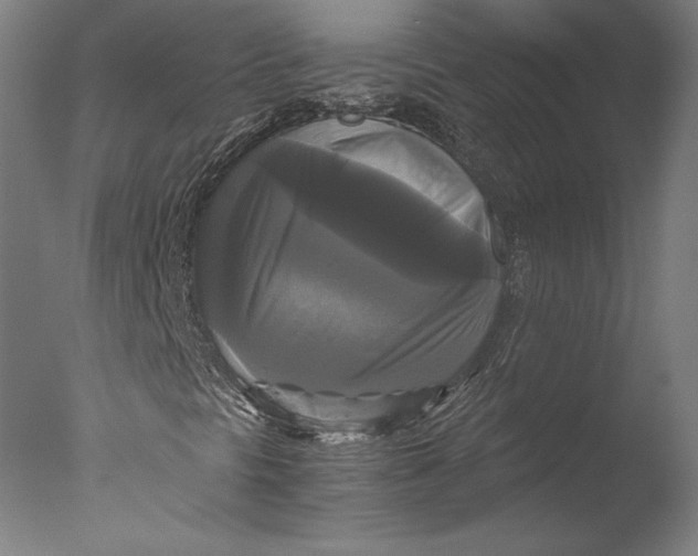 X0000076331297200610201654