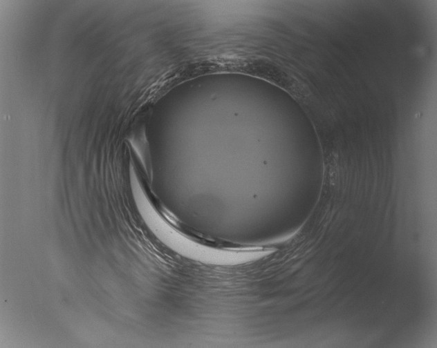 X0000076331298200610201654