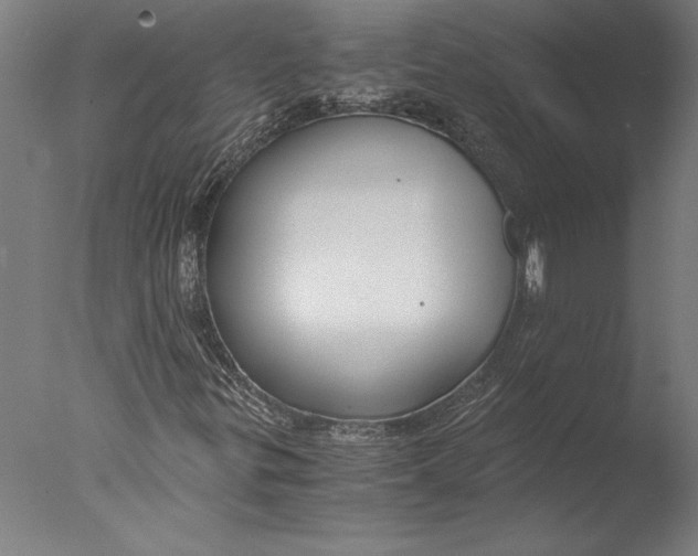 X0000076331299200610201654