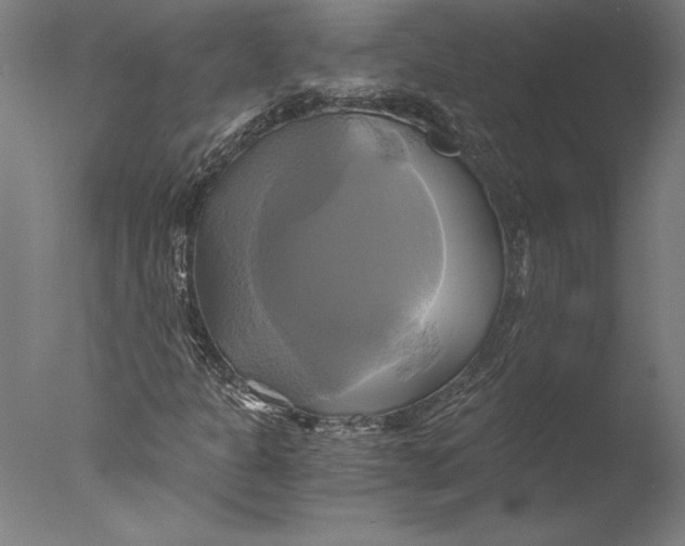 X0000076331301200610201654