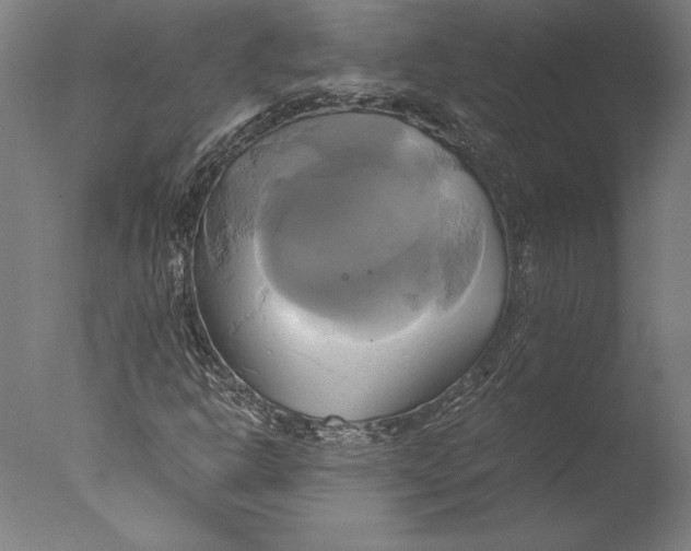 X0000076331302200610201654