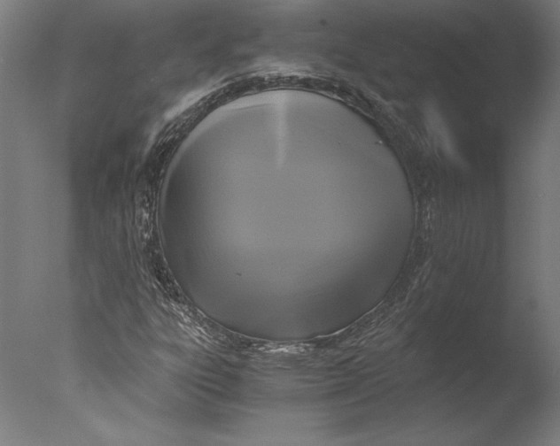 X0000076331303200610201654